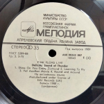 Pink Floyd / Delicate Sound Of Thunder (2LP)