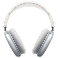 Беспроводные наушники Apple AirPods Max Silver