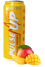 ПульсАп МАНГО-КОКОС 0,45/24 ЖБ