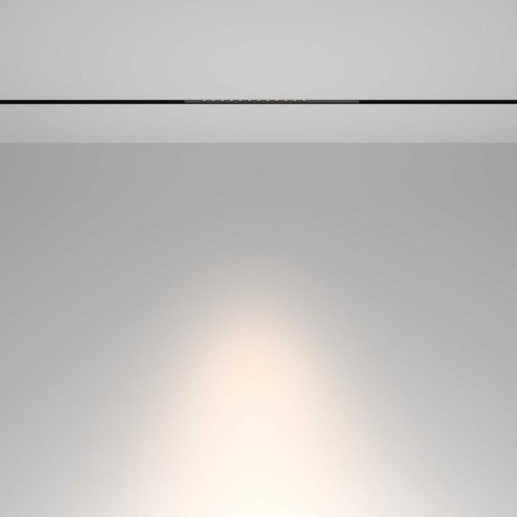 Трековый светильник Maytoni Technical TR232-2-10W4K-B