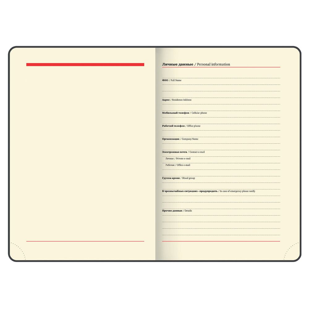 Ежедневник недатированный BRAUBERG "Metropolis Mix" (113294) 6