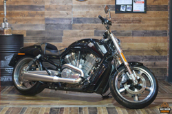 Harley-Davidson V-Rod Muscle