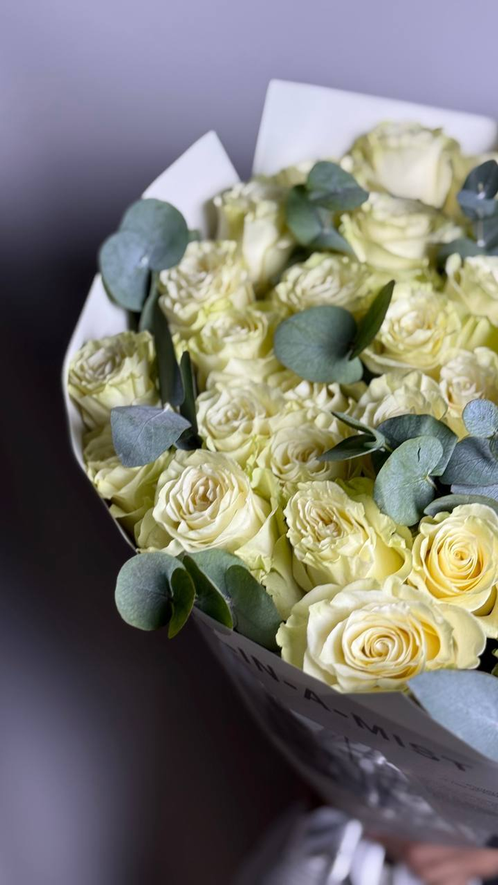 Белая Эквадорская роза