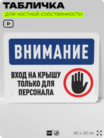 Табличка для частной территории "Внимание, вход на крышу только для персонала", на дом, для участка, организаций и частных территорий, предупреждающая, 40х30 см, Silver Plane x Айдентика Технолоджи