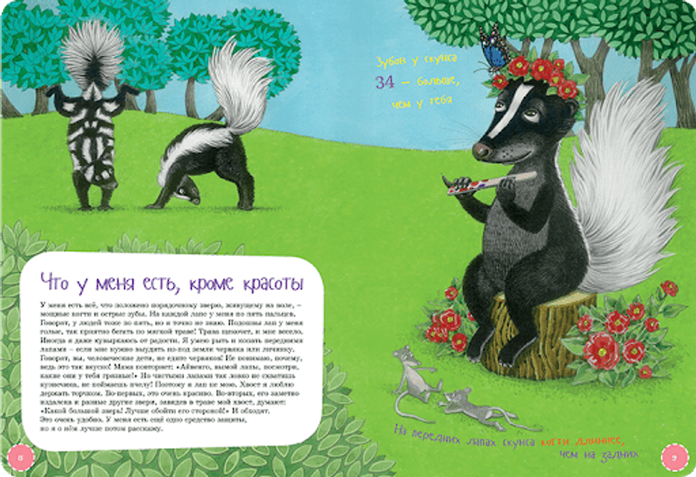 Я скунс. Занимательная зоология