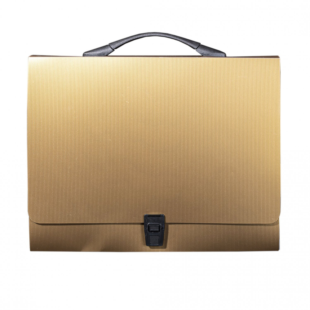 Папка-портфель на застежке Alingar, А4 360х265х40 мм, пластиковая, 800 мкм, ассорти, матовая, карман для визитки, "Flossy"