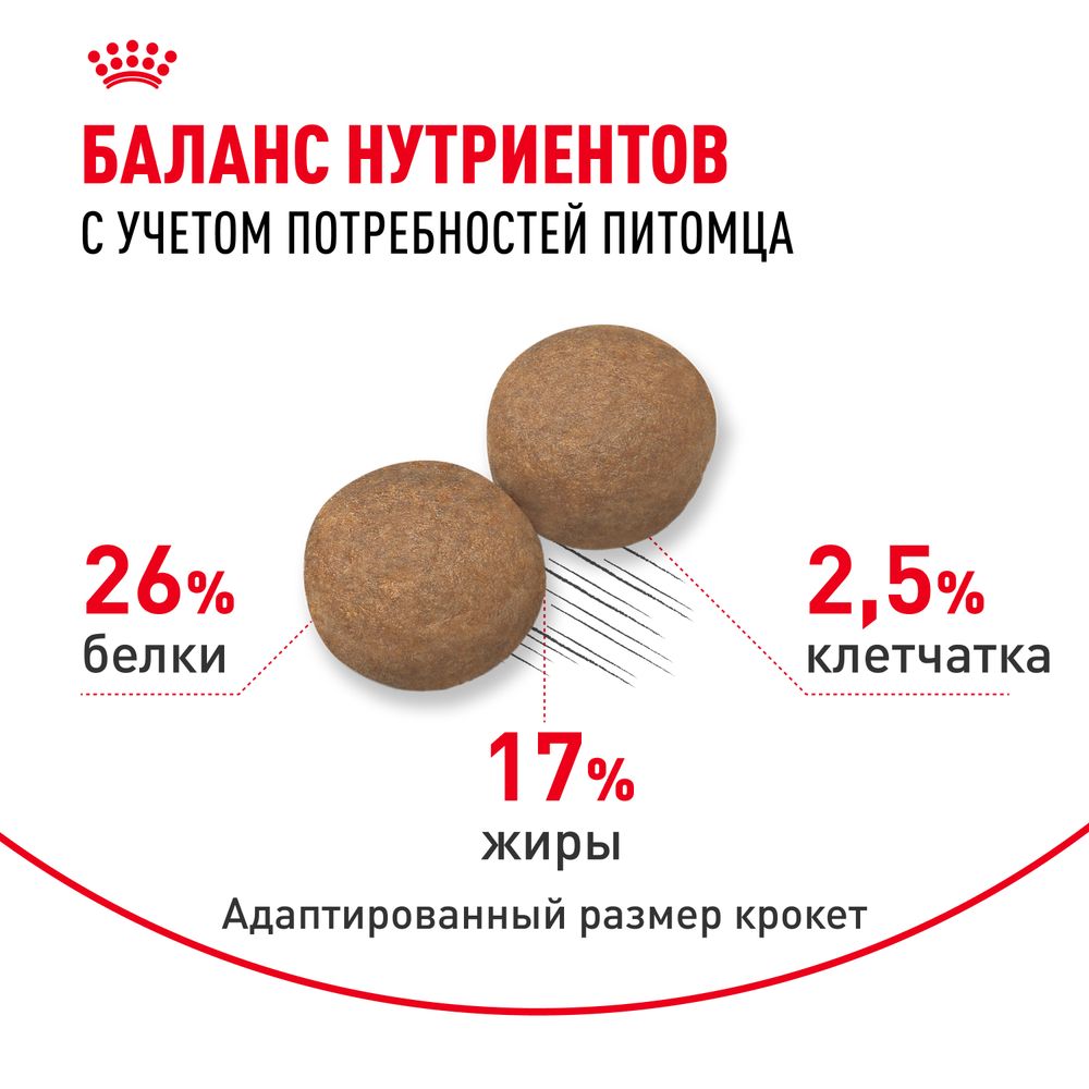 Сухой корм Royal Canin Maxi Adult 5+ для взрослых собак крупных размеров от 5 лет до 8 лет Сухой корм Royal Canin Maxi Adult 5+ для взрослых собак крупных размеров от 5 лет до 8 лет