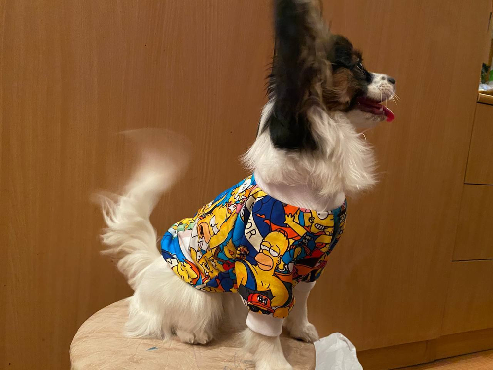 Толстовка тонкая Симпсоны, р. 23