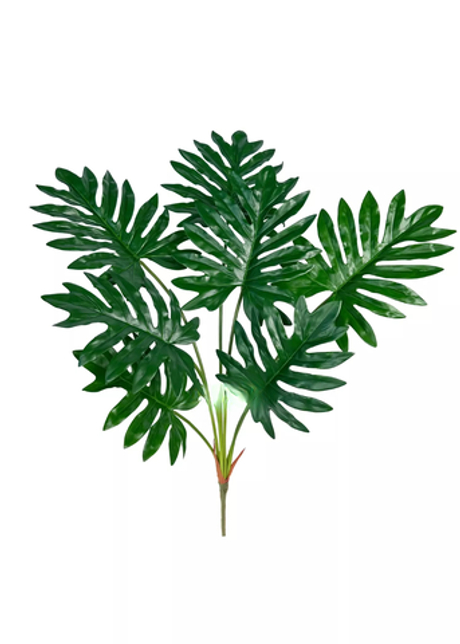 Куст Филодендрона (7 листьев)