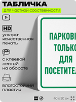 Табличка для частной территории "Парковка только для посетителей", на дом, для участка, организаций и частных территорий, предупреждающая, 40х30 см, Silver Plane x Айдентика Технолоджи