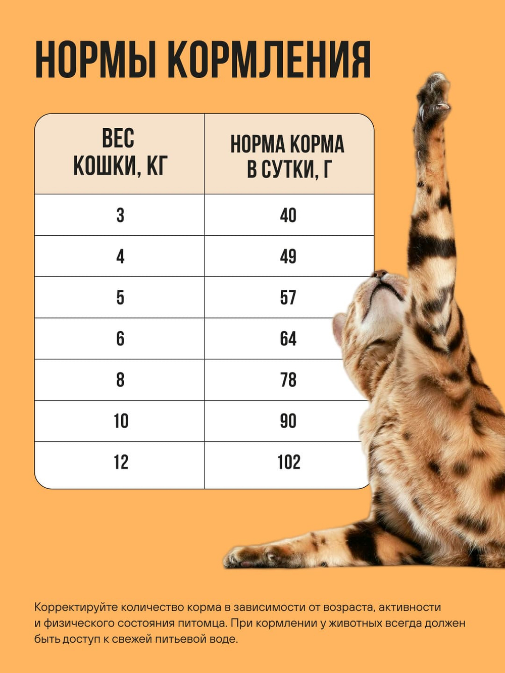 Сухой корм Bowl Wow для кошек с чувствительным пищеварением, с индейкой, курицей и тыквой - 0,4 кг