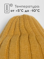 Шапка детская осенняя со снудом