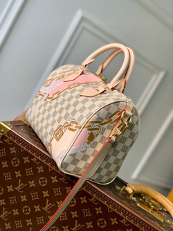 Louis Vuitton Speedy 25