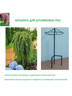 Шпалера для роз металлическая