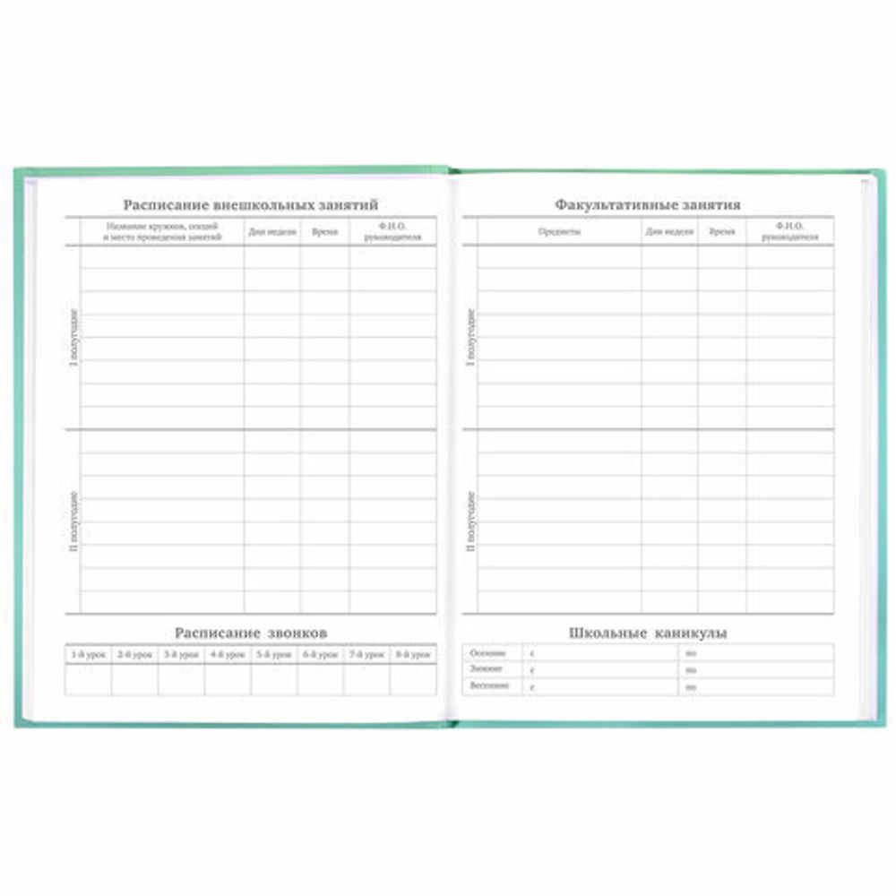 Дневник 5-11 класс 48 л., твердый, BRAUBERG, выборочный лак, с подсказом, "Гусь-джентльмен", 106884