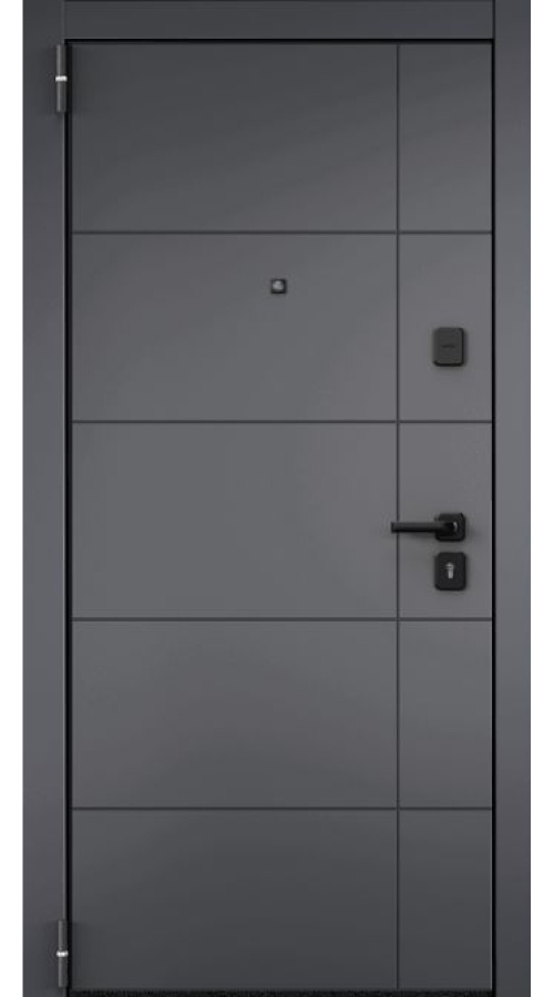 Дверь Delta LT PP-36 Torex