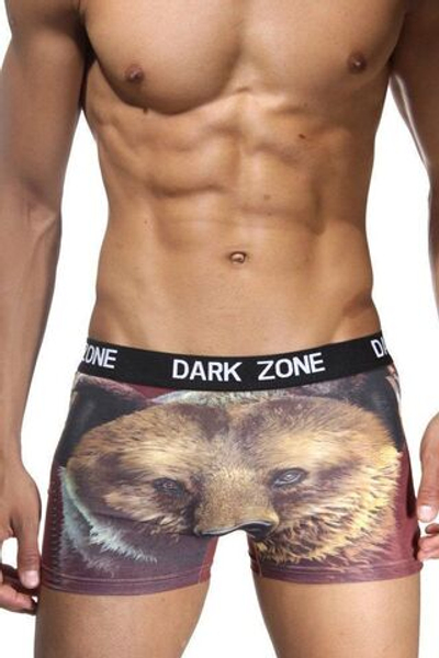 Мужские трусы-боксеры с 3D-принтом в виде медведя (Размер: L) (Цвет: разноцветный)