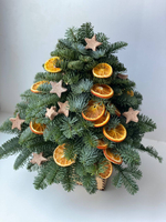 Мини елка "апельсиновый бум"