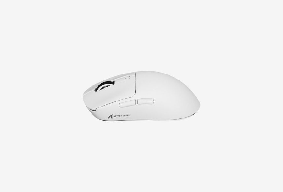Shark X3 White_0426522101915
