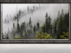 Коллекция FRAME 19