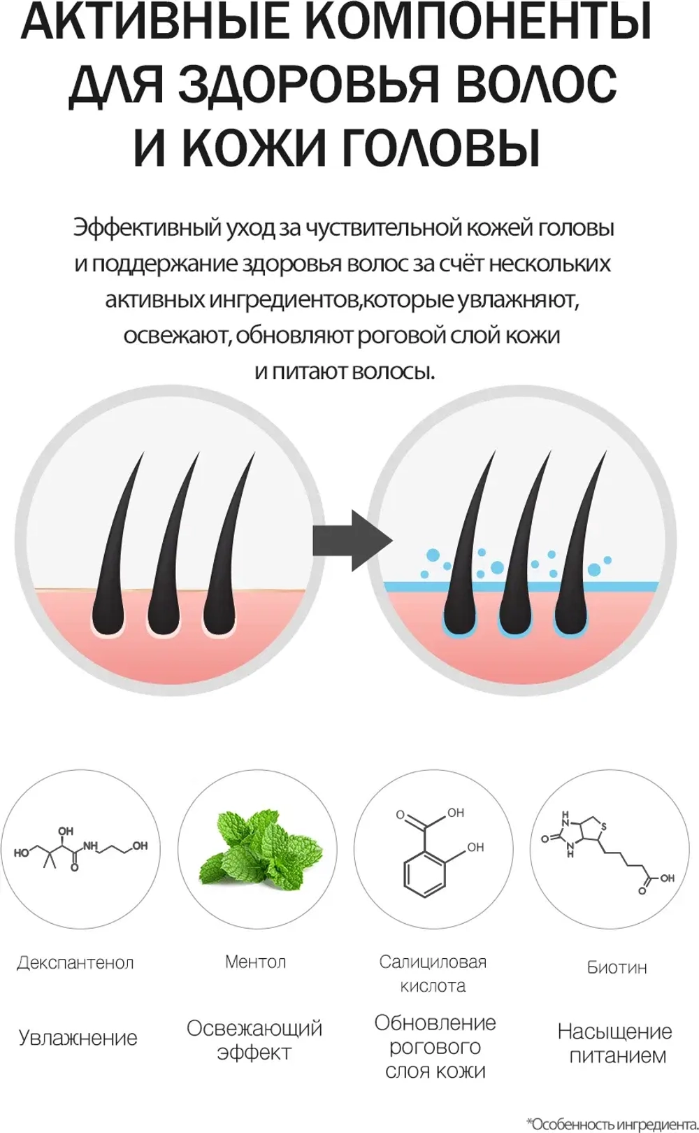 Шампунь против выпадения волос с пивными дрожжами - Derma Factory Anti hair loss shampoo, 300мл