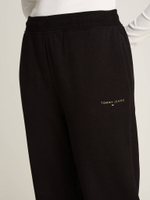 Спортивные штаны Tommy Jeans - черный(DW0DW19657)