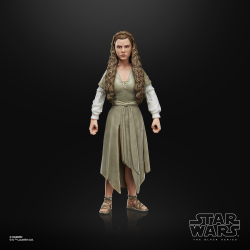 Hasbro E8908 F4352 — Коллекционная фигурка «Принцесса Лея (Деревня эвоков)» 15 см The Black Series Star Wars F4352 — фото 3