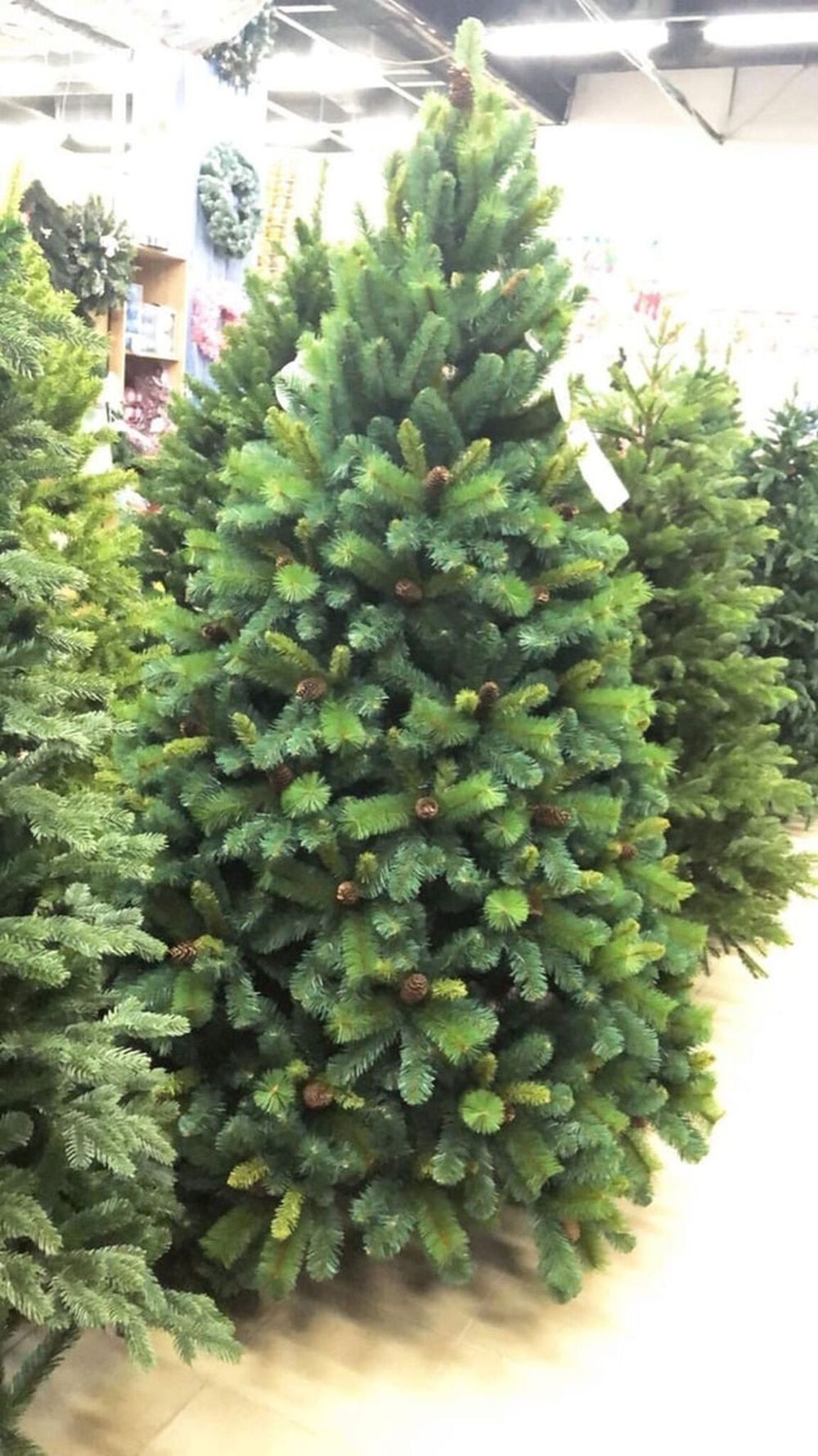 Ель с шишками "Байкальская" (Леска+пвх) 240 см / 2,4 м