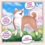 Сухой корм для собак ZILLII (Зилли) Dog Adult Large Breed 15кг индейка и ягненок для собак крупных пород