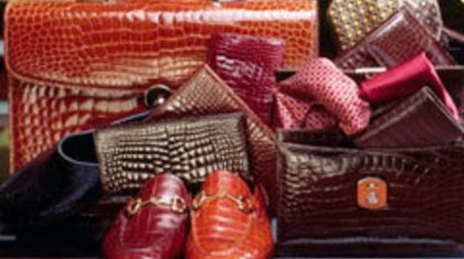 Как отличить оригинальные изделия из крокодила от подделки?