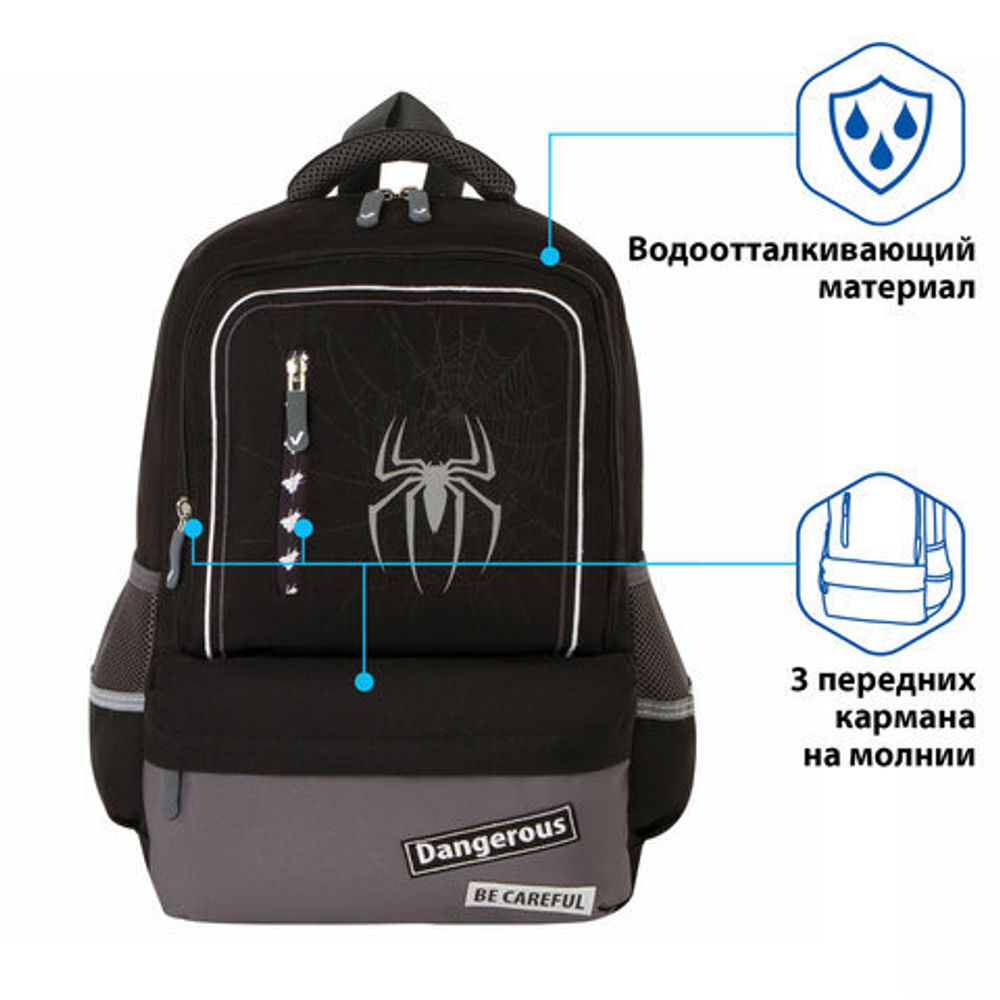 Рюкзак BRAUBERG STAR, "Spider", черный, 40х29х13 см, 229978