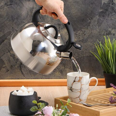 Чайник нерж, 3 л, свист, ручк бакелит, с силик покр, Daniks, Турин, индукц, MSY-075PM