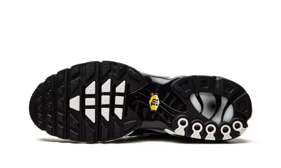 Кроссовки Nike Air Max Plus Black/Silver