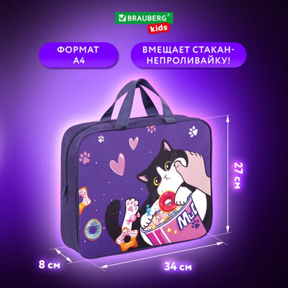 Папка на молнии с ручками BRAUBERG KIDS А4, 1 отделение, полиэстер, 80 мм, "Sweet cheeks", 272120