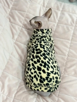 Одежда свитер для сфинксов кошек