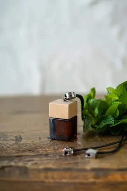 Автопарфюм GARDEN MINT