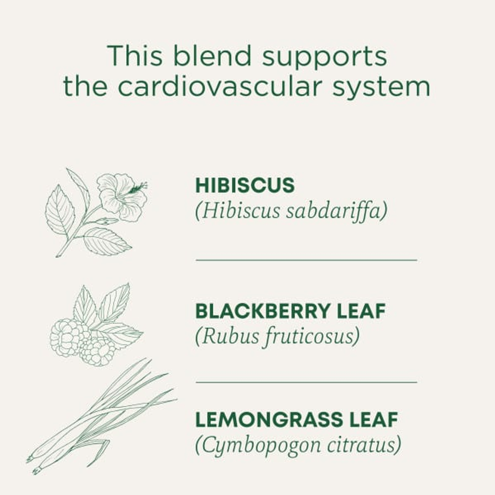 Traditional Medicinals, органический гибискус, без кофеина, 16 чайных пакетиков, 28 г (0,99 унции)