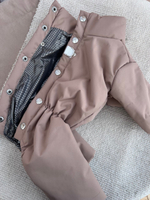 Демисезонный комбинезон для собак с длинными лапами (мальчик)