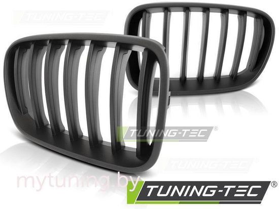 Решетка (ноздри) радиатора MATT BLACK для BMW X3 F25