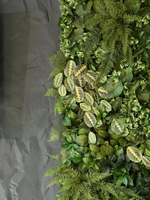 Панно из искусственных растений для офиса компании «Ava Group»