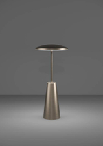 Аккумуляторная настольная лампа Eglo PICCOLA 900924