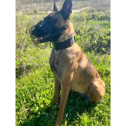 Тактический ошейник с ручкой K9 INDUSTRIES