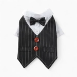 Костюм «Вечер»