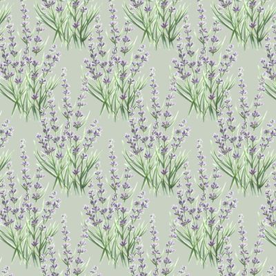 Лаванда на оливковом фоне