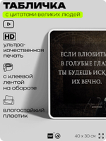 Литературный постер с цитатой А. П. Чехова для школы, на стену, на пластике, для интерьера, 40х30 см, Silver Plane x Айдентика Технолоджи