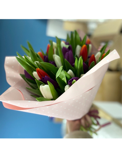 Букет из 25 фиолетовых, белых и красных тюльпанов