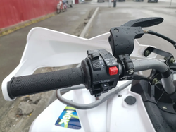 Квадроцикл PROMAX RENEGADE 280 LUX (2025)