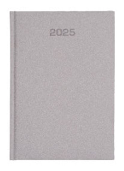 Planner 2025-1