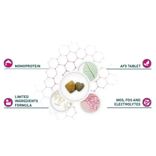 Уценка! Повр.упак. / Сухой диетический корм Forza 10 Intestinal Active для собак всех пород, при проблемах пищеварения, с рыбой