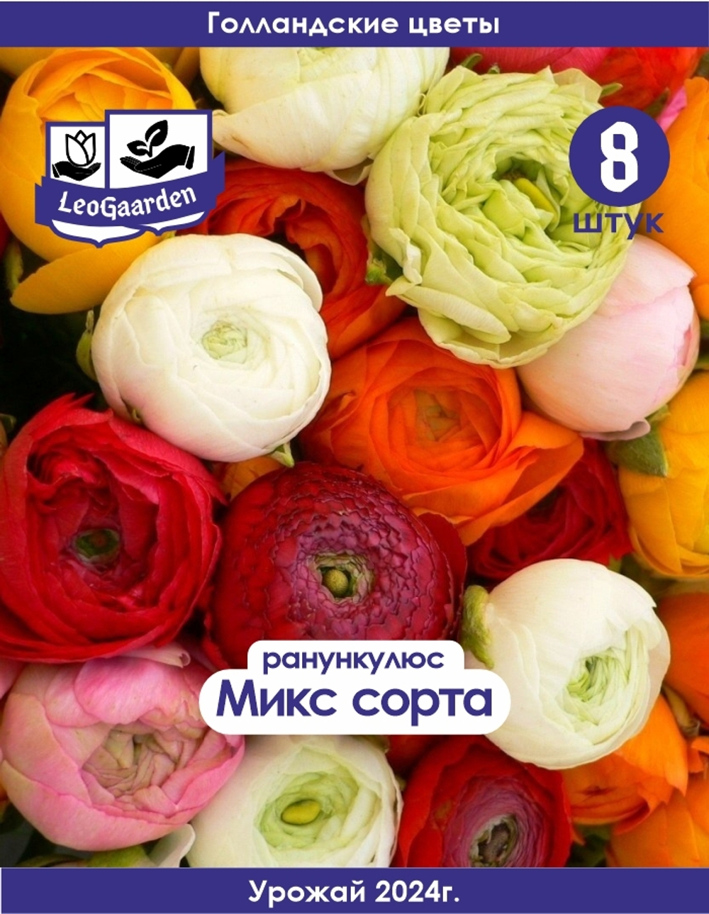 Корневище, Ранункулюс микс сортов, 8 шт